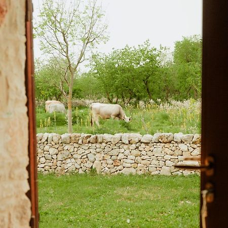Tenuta Tedone Consolini Ruvo di Puglia Exterior foto