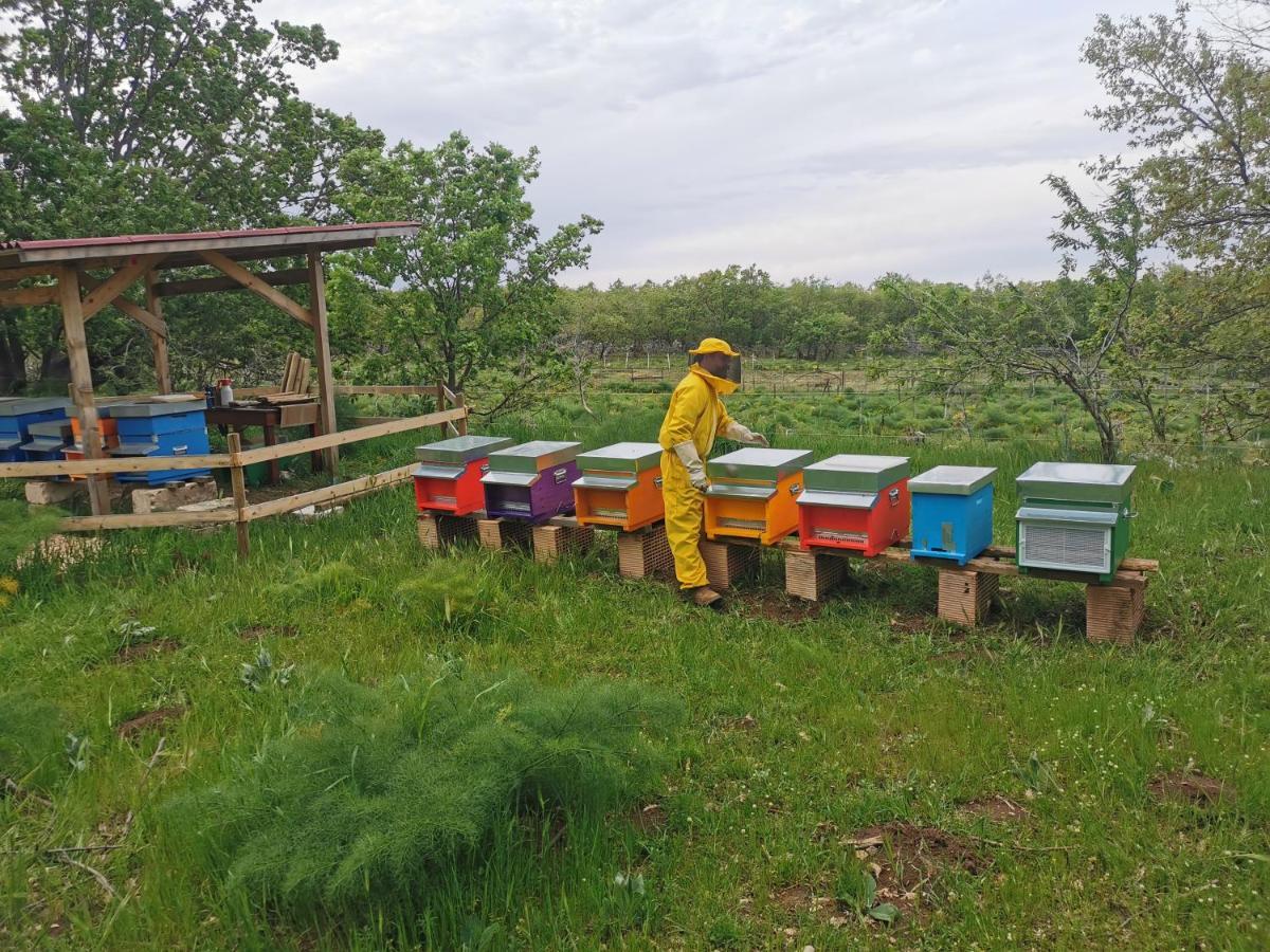 Tenuta Tedone Consolini Ruvo di Puglia Exterior foto