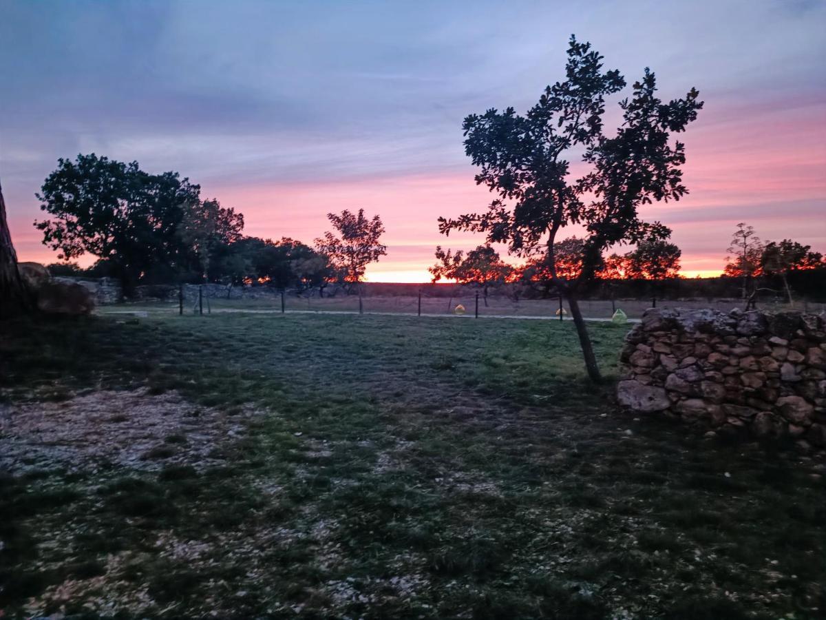 Tenuta Tedone Consolini Ruvo di Puglia Exterior foto