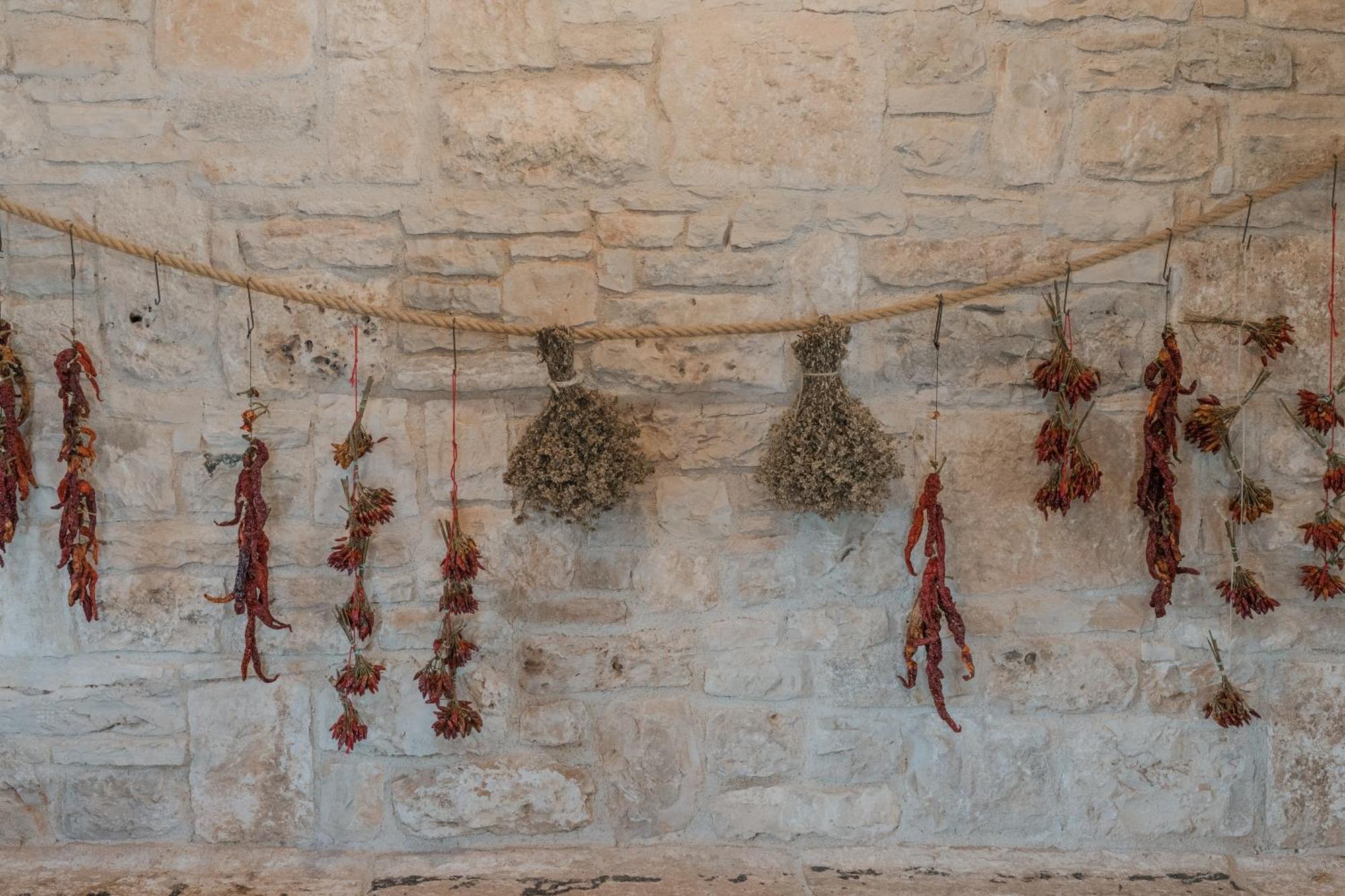 Tenuta Tedone Consolini Ruvo di Puglia Exterior foto