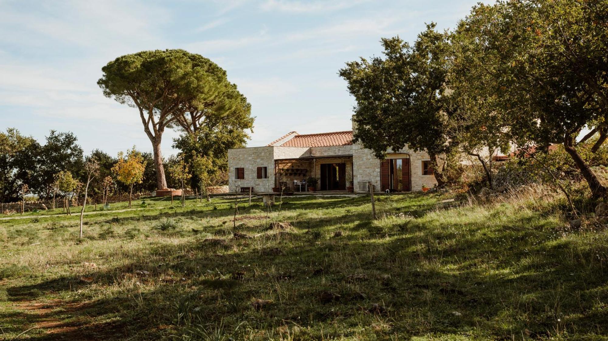 Tenuta Tedone Consolini Ruvo di Puglia Exterior foto
