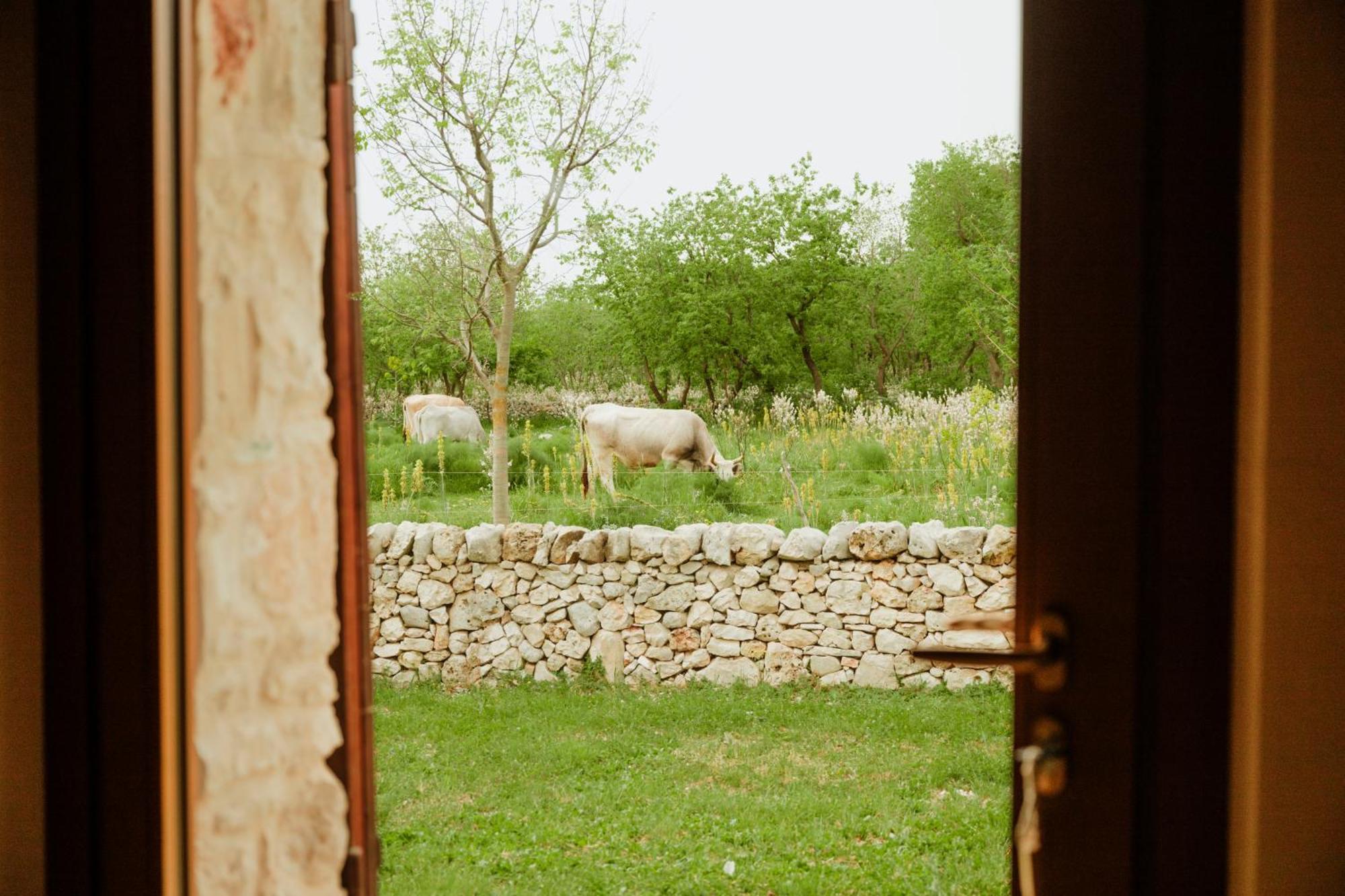 Tenuta Tedone Consolini Ruvo di Puglia Exterior foto