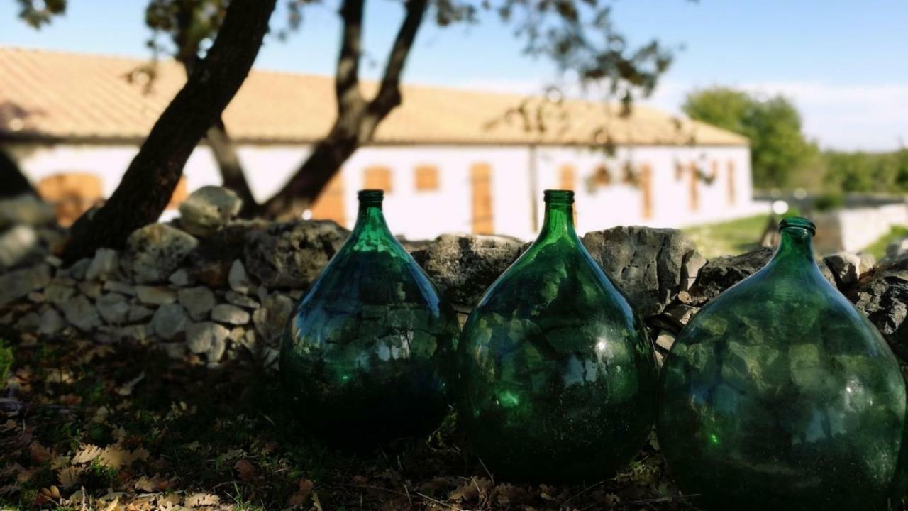 Tenuta Tedone Consolini Ruvo di Puglia Exterior foto