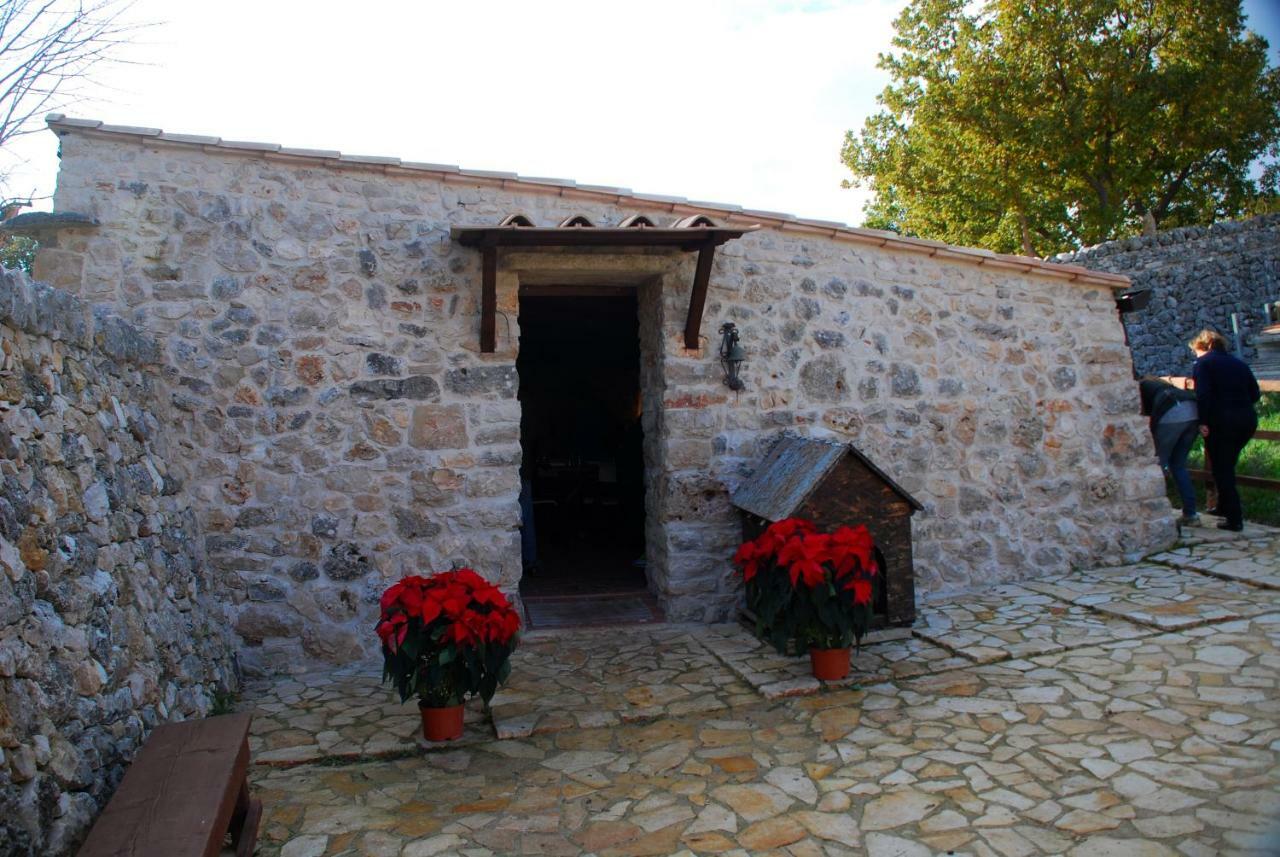 Tenuta Tedone Consolini Ruvo di Puglia Exterior foto