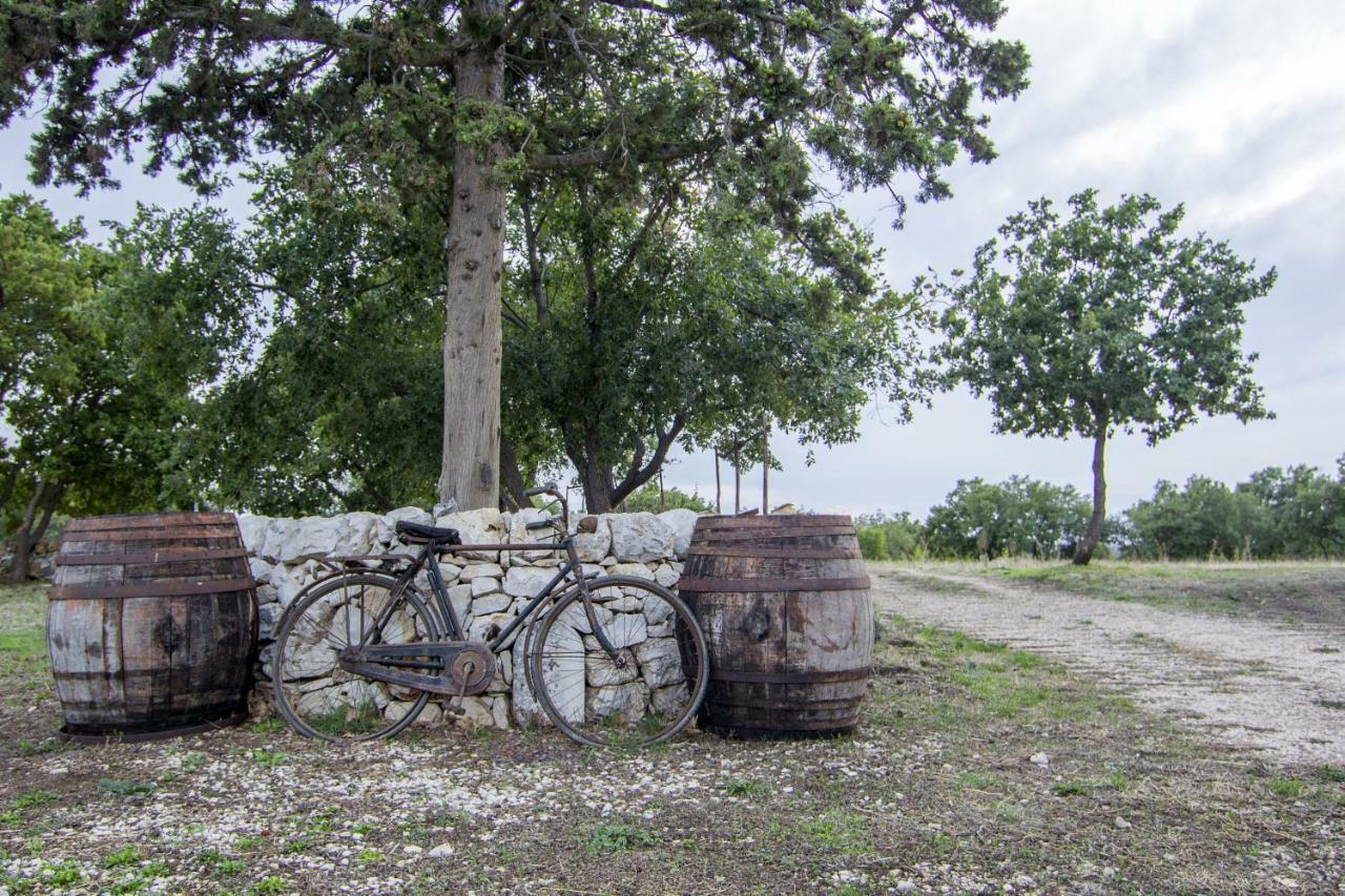 Tenuta Tedone Consolini Ruvo di Puglia Exterior foto