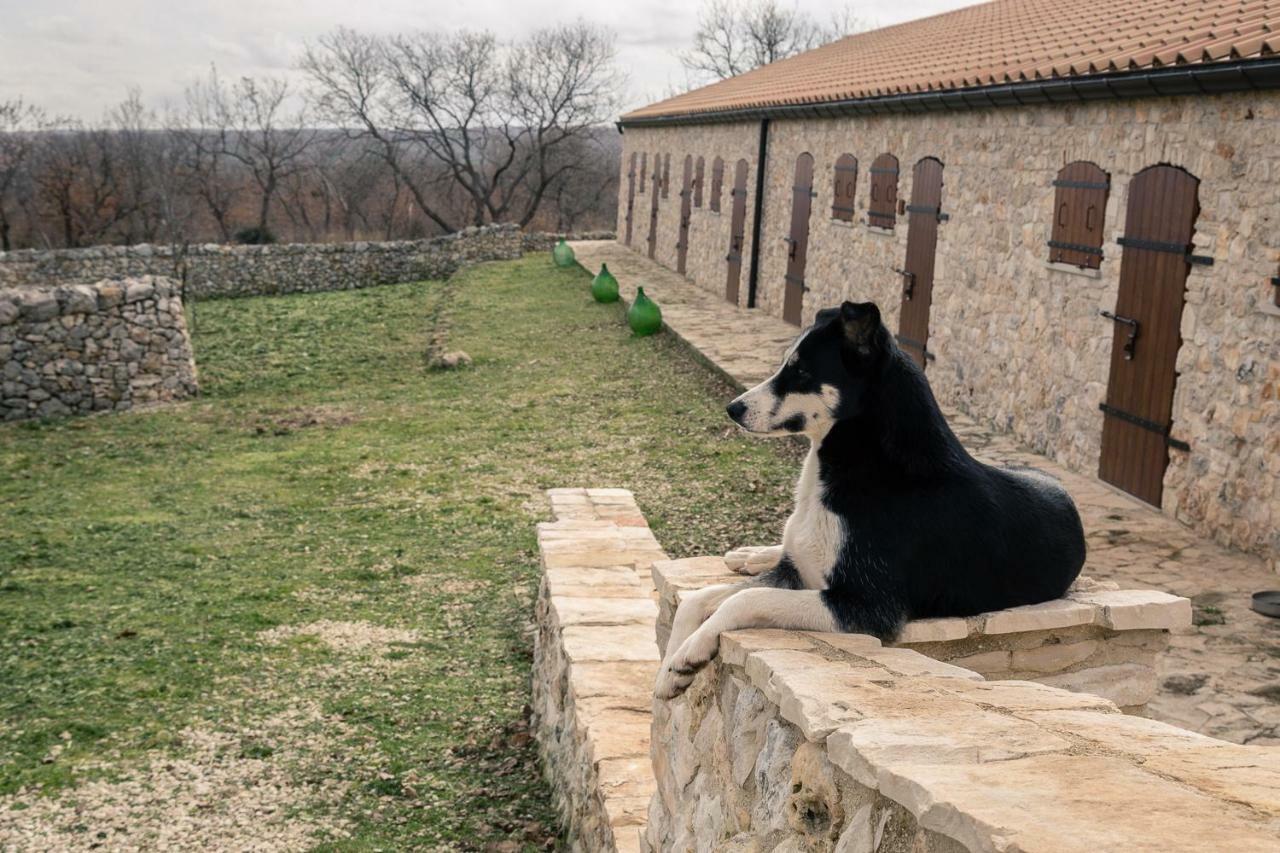 Tenuta Tedone Consolini Ruvo di Puglia Exterior foto