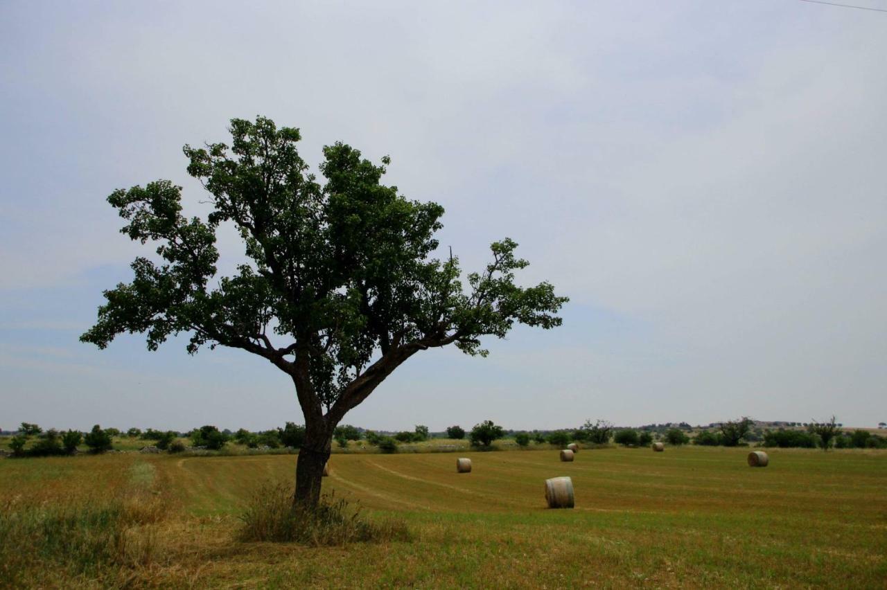 Tenuta Tedone Consolini Ruvo di Puglia Exterior foto