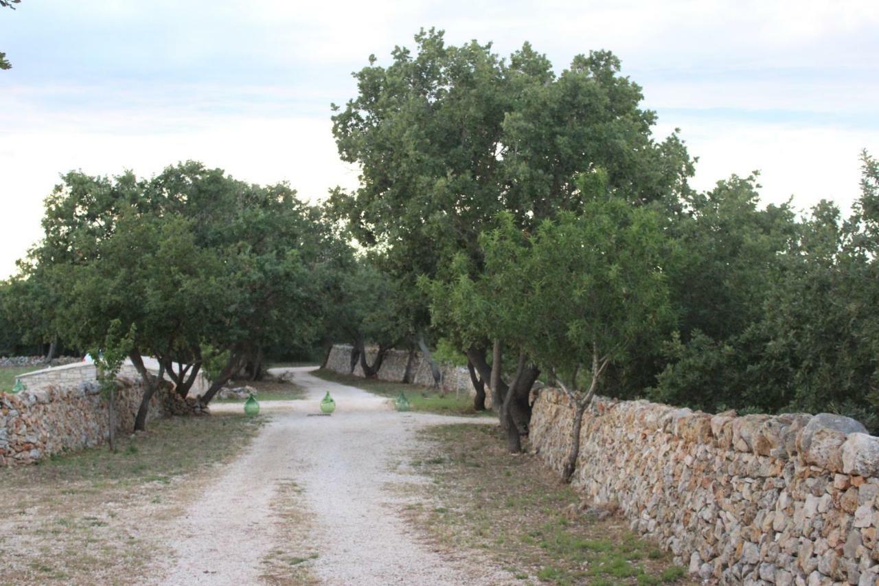 Tenuta Tedone Consolini Ruvo di Puglia Exterior foto