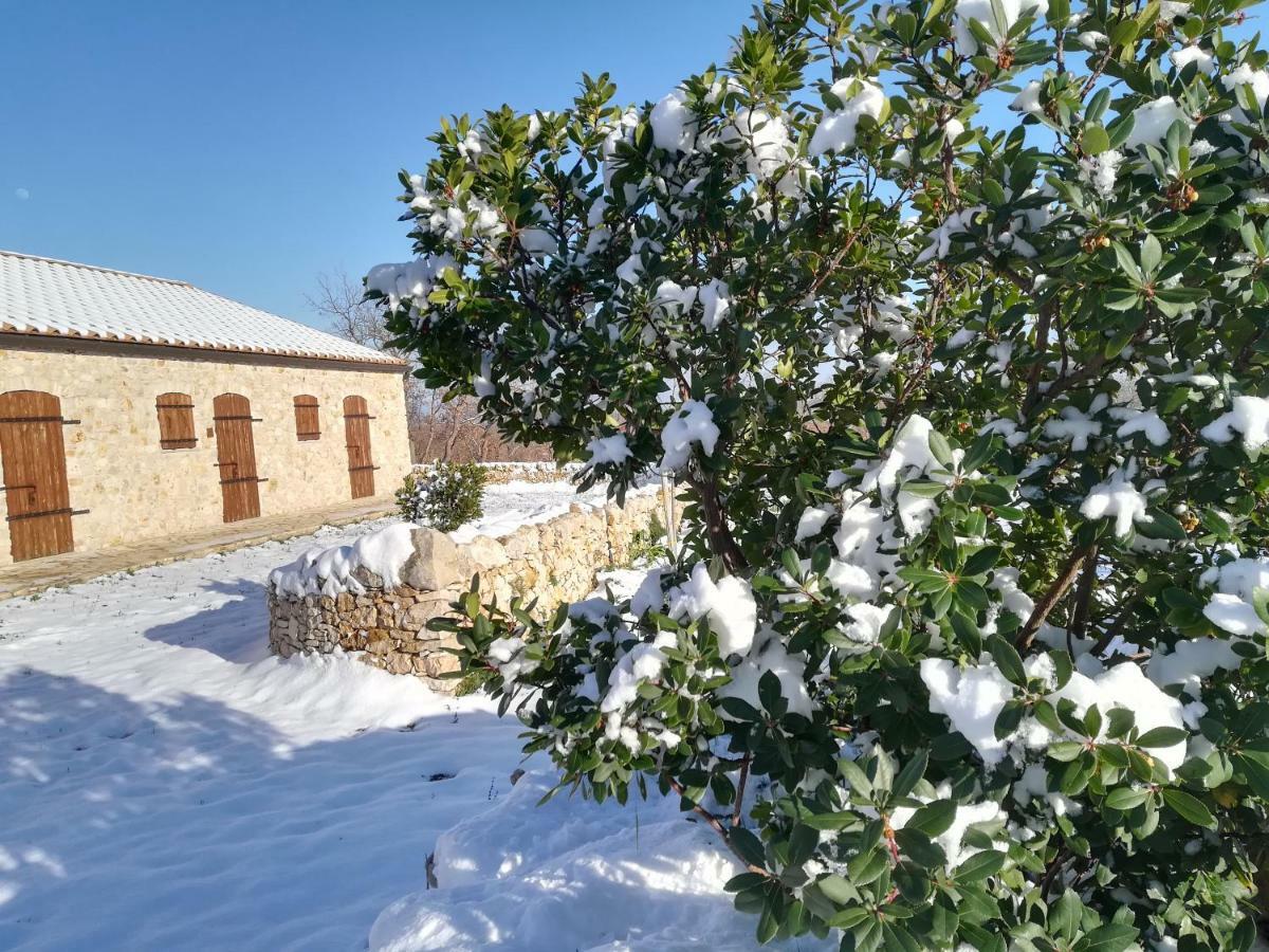 Tenuta Tedone Consolini Ruvo di Puglia Exterior foto