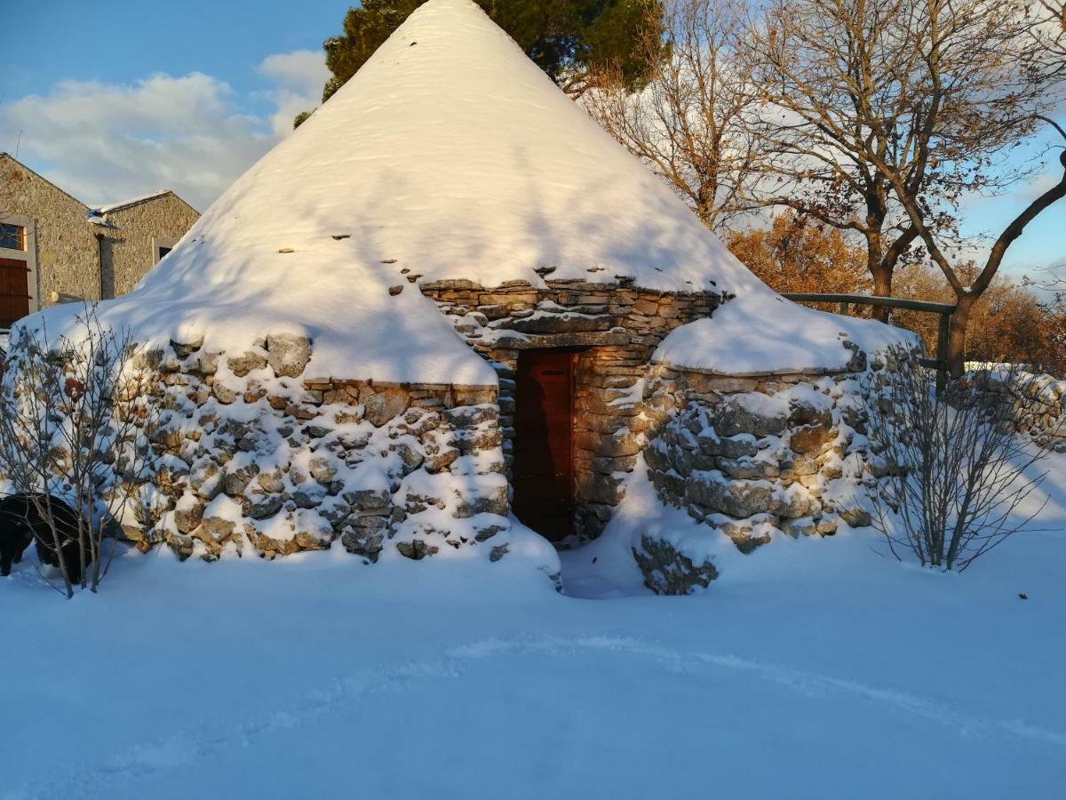 Tenuta Tedone Consolini Ruvo di Puglia Exterior foto